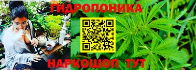 сатива Гусь-Хрустальный