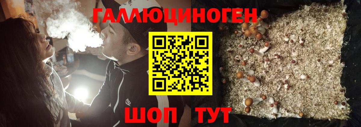 Псилоцибиновые грибы Magic Shrooms  Галлюциногенные грибы MAGIC MUSHROOMS  Вход с VPN  наркошоп  Нижнекамск 